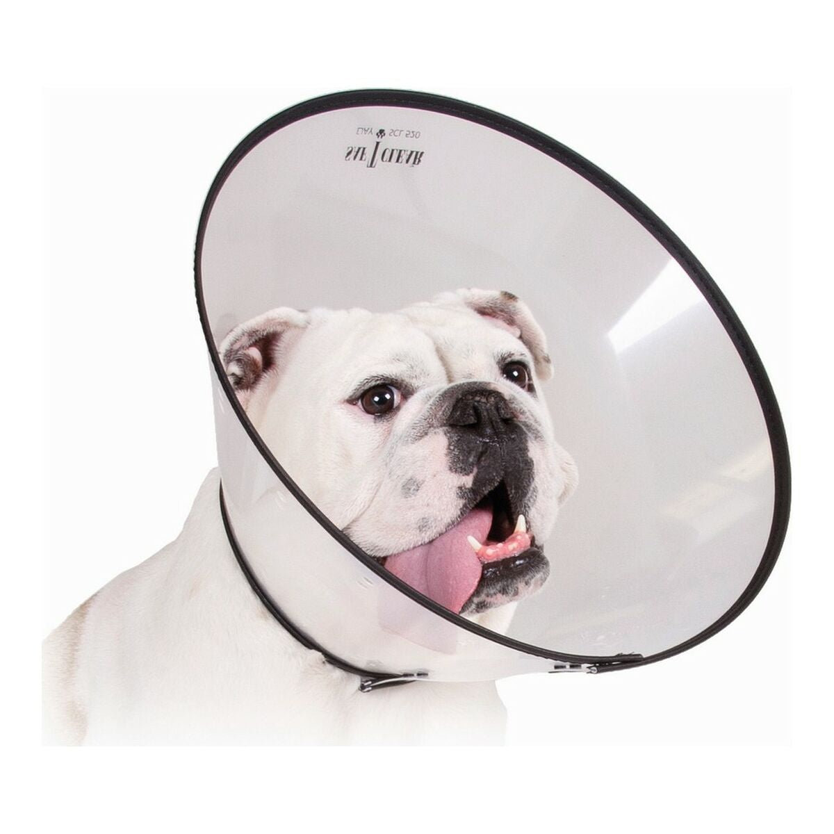 Elizabethan Dog Collar KVP Saf-T-Clear Transparent (25-38 cm)PetsBigbuyanimals8.85animalsPetsElizabethan Dog Collar KVP Saf-T-Clear Transparent (25-38 cm)Elizabethan Dog Collar KVP Saf-T-Clear Transparent (25-38 cm) - Premium Pets from Bigbuy - Just CHF 8.85! Shop now at Maria Bitonti Home Decor