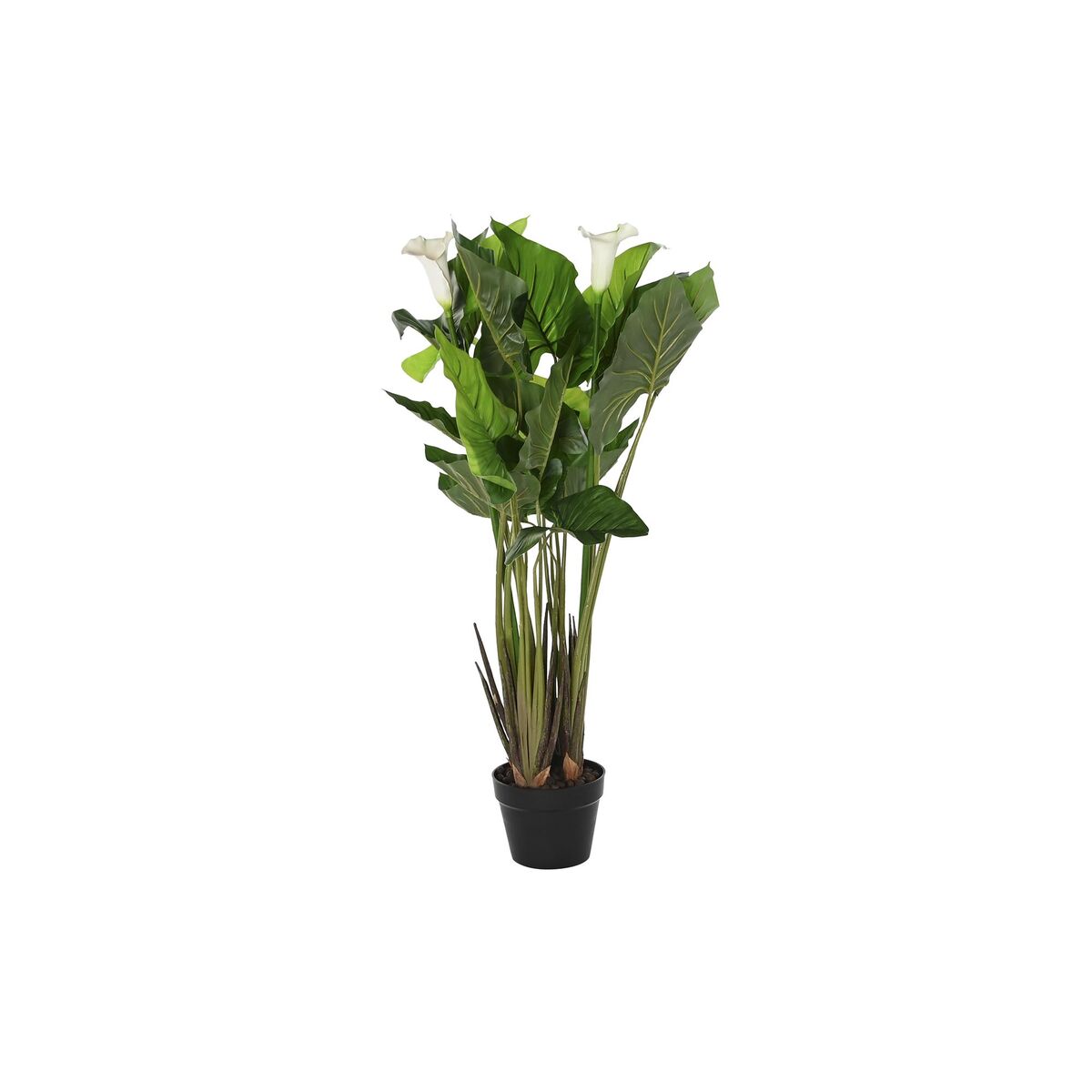 Decorative Plant DKD Home Decor White Green PE Lilies (50 x 50 x 100Home DecorBigbuydecoration52.82decorationHome DecorDecorative Plant DKD Home Decor White Green PE Lilies (50 x 50 x 100Decorative Plant DKD Home Decor White Green PE Lilies (50 x 50 x 100 - Premium Home Decor from Bigbuy - Just CHF 52.82! Shop now at Maria Bitonti Home Decor