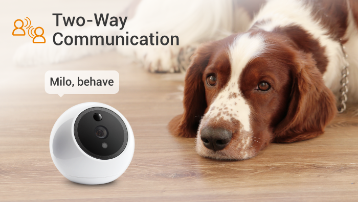 Apollo Pet Monitoring Camera - White, AI Detection, Night VisionAudio & VideoScarlet Menoetius148.54Audio & VideoApollo Pet Monitoring Camera - White, AI Detection, Night VisionApollo Pet Monitoring Camera - White, AI Detection, Night Vision - Premium Audio & Video from Scarlet Menoetius - Just CHF 148.54! Shop now at Maria Bitonti Home Decor