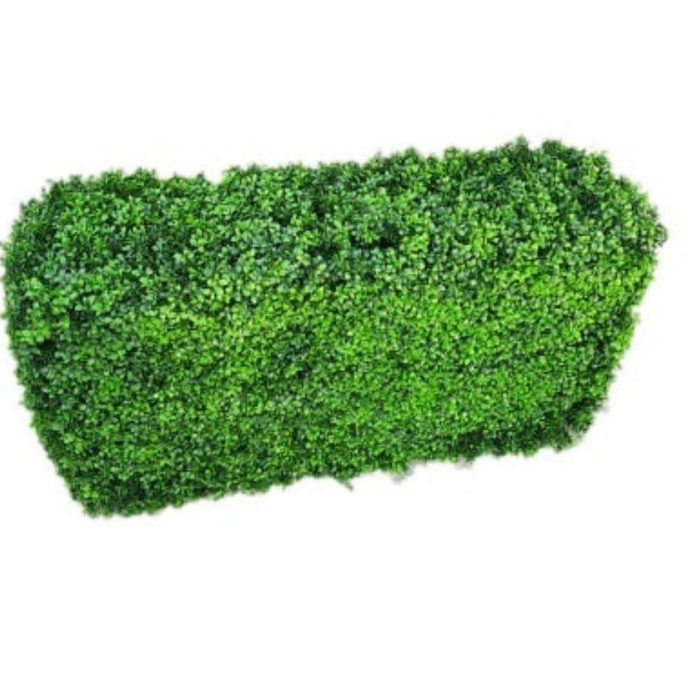 Deluxe Portable Bright Buxus UV Resistant Artificial Hedge 100cm xHome DecorLemon Artemisartificial vertical green wall, Portable Hedges, Pre-built artificial greenwall154.36artificial vertical green wall, Portable Hedges, Pre-built artificial greenwallHome DecorDeluxe Portable Bright Buxus UV Resistant Artificial Hedge 100cm xDeluxe Portable Bright Buxus UV Resistant Artificial Hedge 100cm x - Premium Home Decor from Lemon Artemis - Just CHF 154.36! Shop now at Maria Bitonti Home Decor