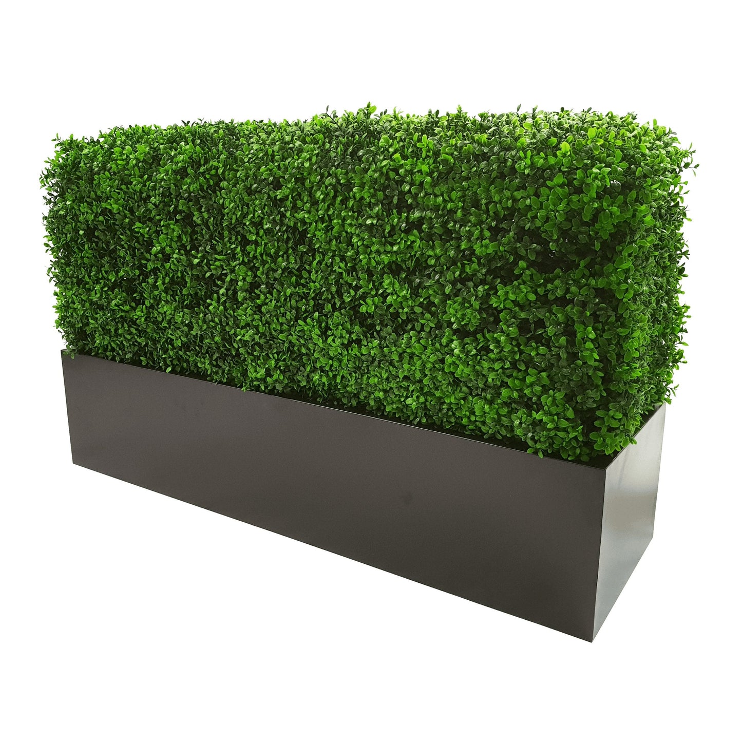 Deluxe Portable Bright Buxus UV Resistant Artificial Hedge 100cm xHome DecorLemon Artemisartificial vertical green wall, Portable Hedges, Pre-built artificial greenwall154.36artificial vertical green wall, Portable Hedges, Pre-built artificial greenwallHome DecorDeluxe Portable Bright Buxus UV Resistant Artificial Hedge 100cm xDeluxe Portable Bright Buxus UV Resistant Artificial Hedge 100cm x - Premium Home Decor from Lemon Artemis - Just CHF 154.36! Shop now at Maria Bitonti Home Decor