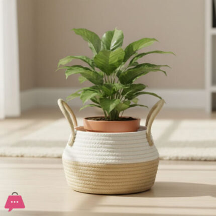 Chic & Versatile Woven Storage Basket